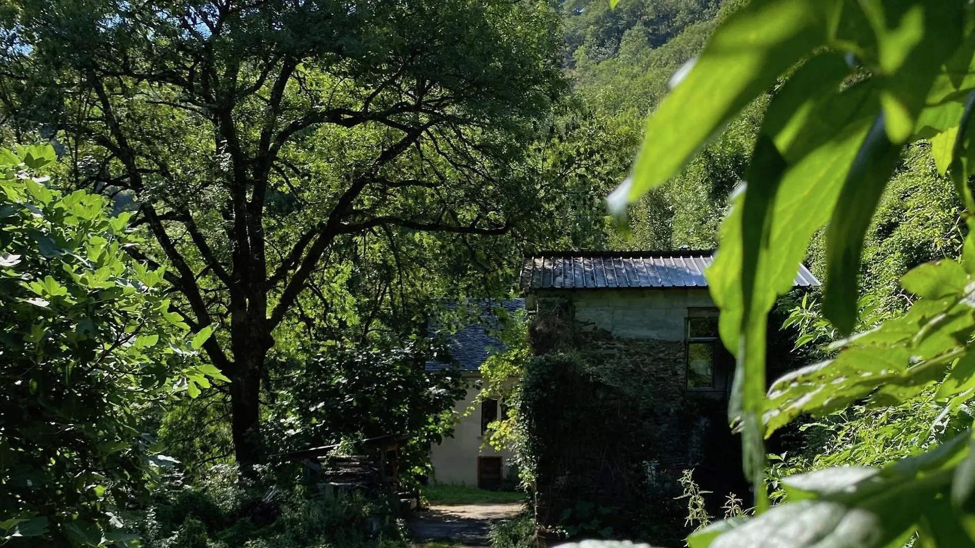 La Maison Dans La Foret Vabre 0*,