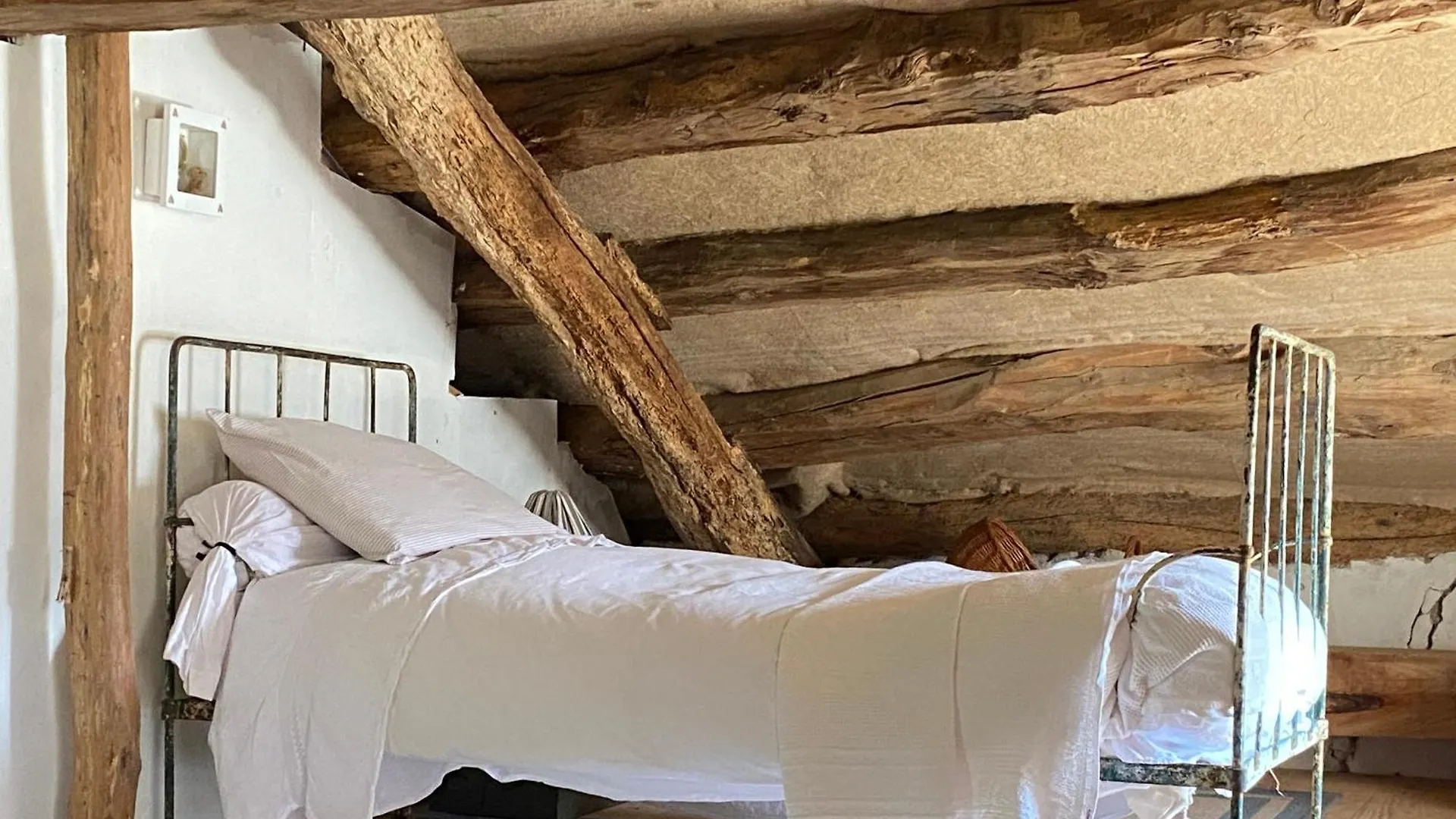 La Maison Dans La Foret Vabre فرنسا